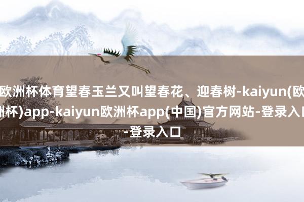 欧洲杯体育望春玉兰又叫望春花、迎春树-kaiyun(欧洲杯)app-kaiyun欧洲杯app(中国)官方网站-登录入口