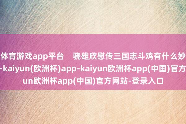 体育游戏app平台    骁雄欣慰传三国志斗鸡有什么妙技 要领很肤浅-kaiyun(欧洲杯)app-kaiyun欧洲杯app(中国)官方网站-登录入口